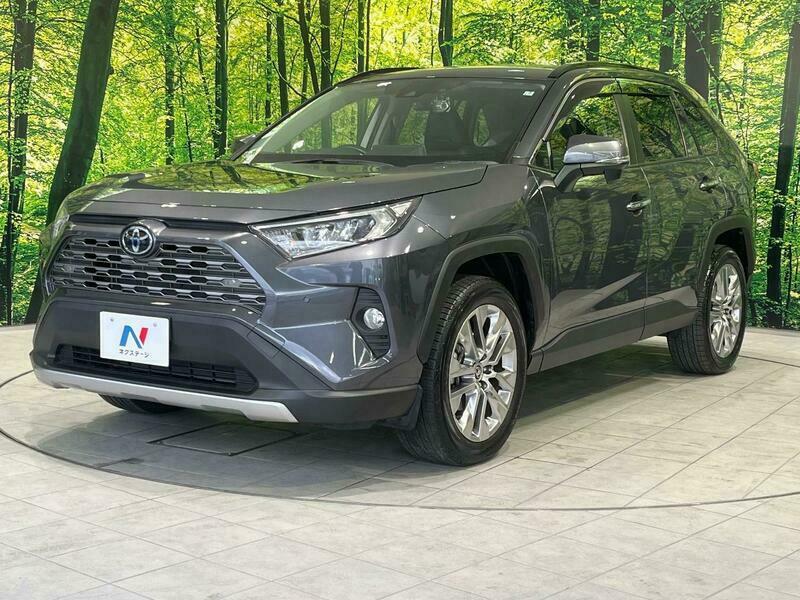 Used 2019 Toyota Rav4 Mxaa54 