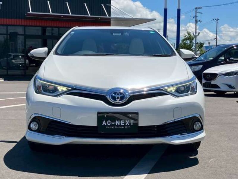 AURIS HYBRID