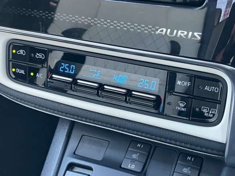 AURIS HYBRID