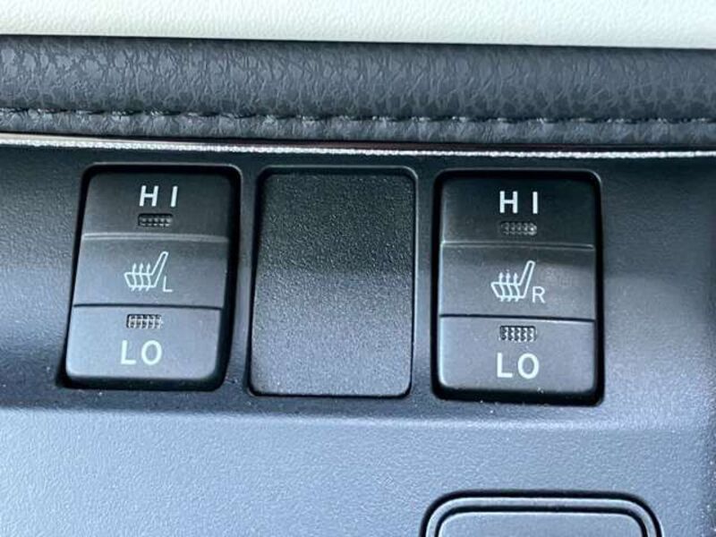 AURIS HYBRID