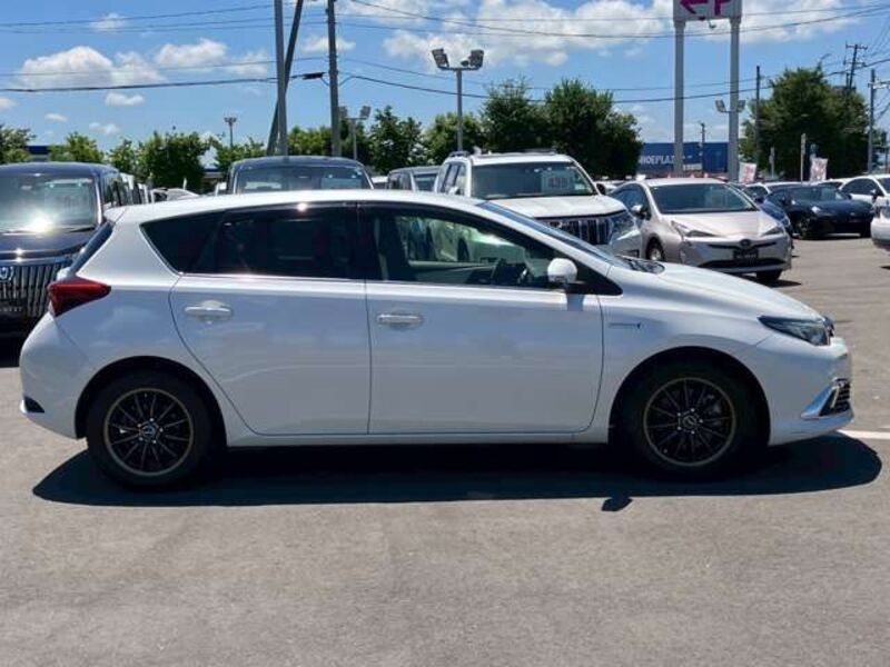 AURIS HYBRID