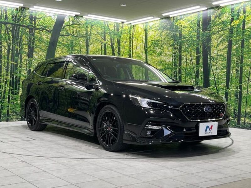LEVORG