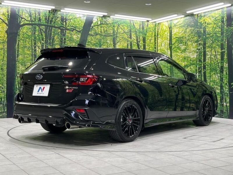 LEVORG