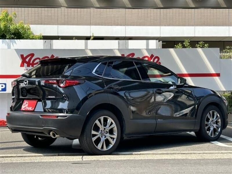 CX-30