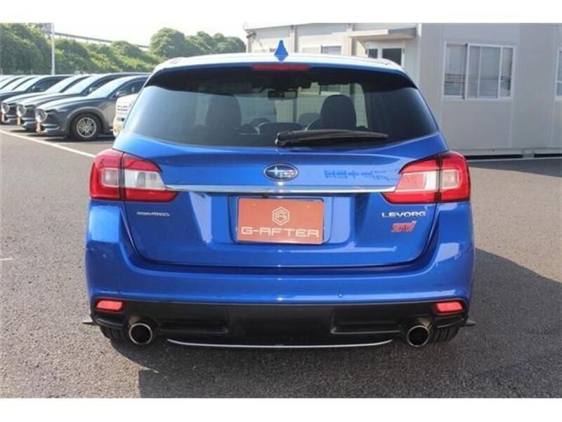 LEVORG