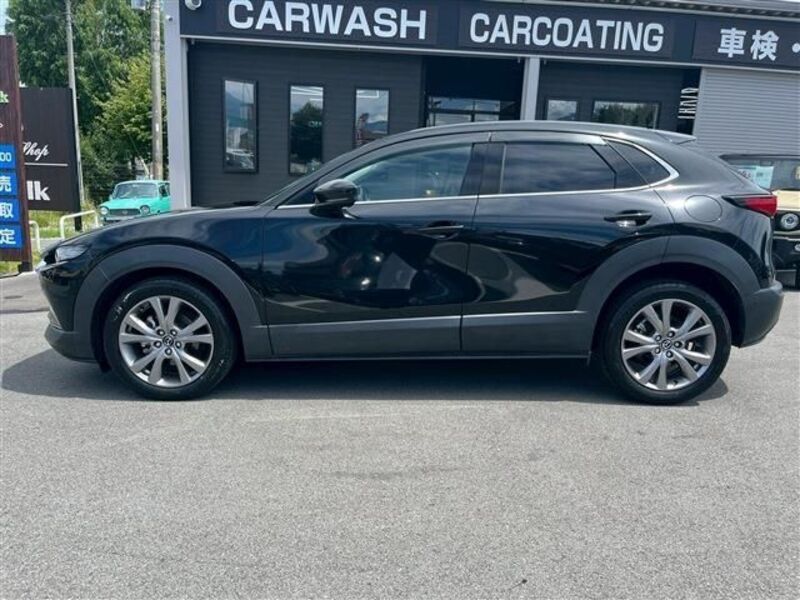 CX-30