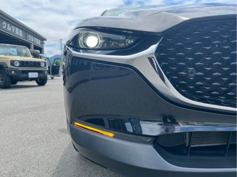 CX-30