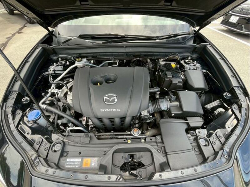 CX-30