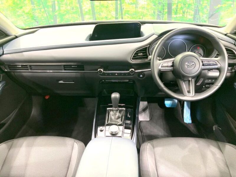 CX-30