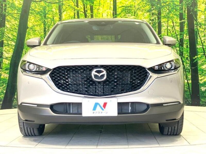 CX-30