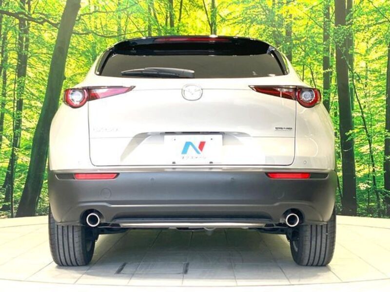 CX-30