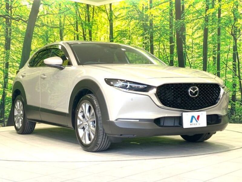 CX-30