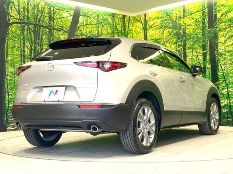 CX-30
