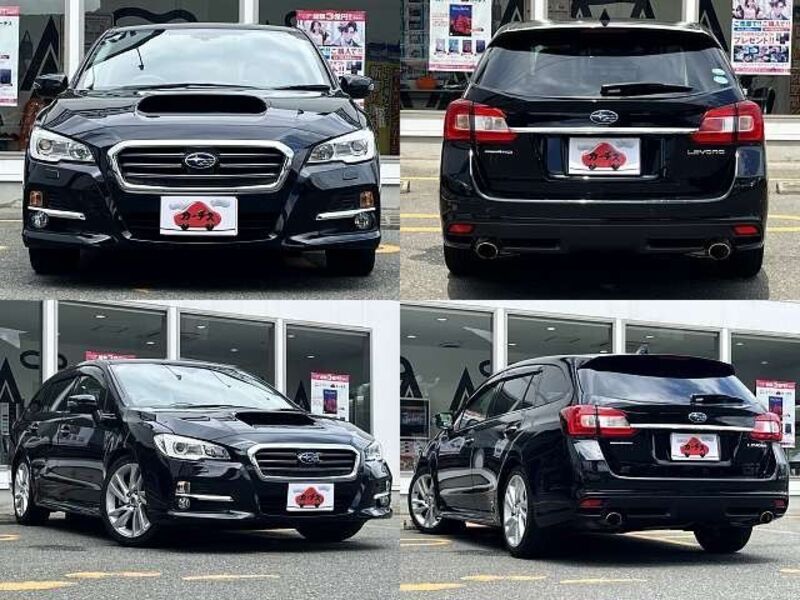 LEVORG