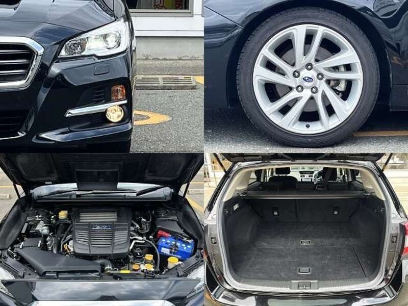 LEVORG