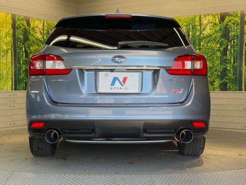 LEVORG