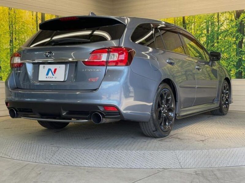 LEVORG