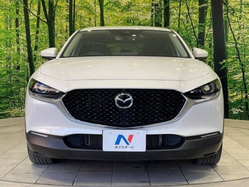 CX-30