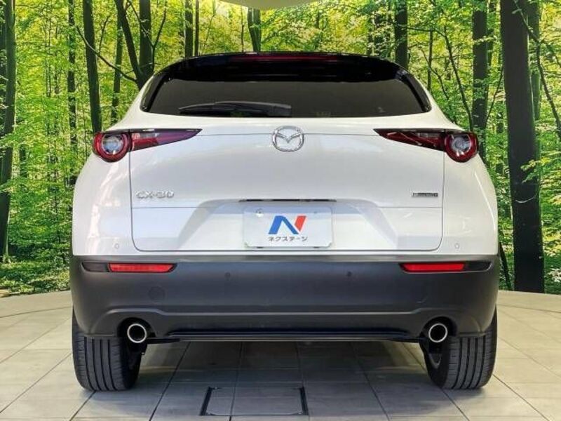 CX-30