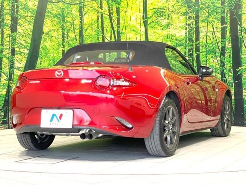 ROADSTER