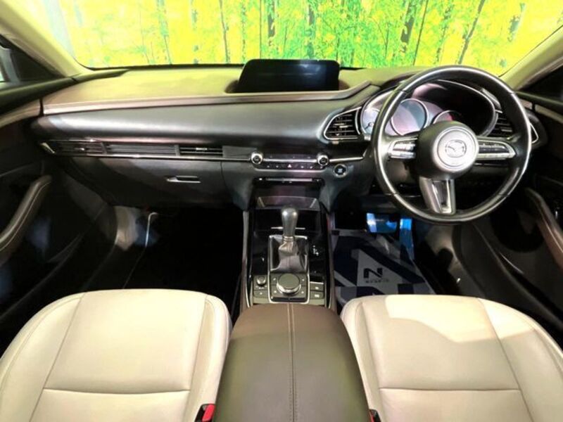 CX-30