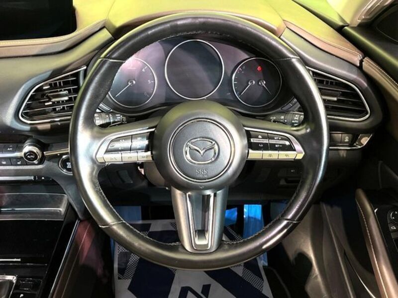 CX-30