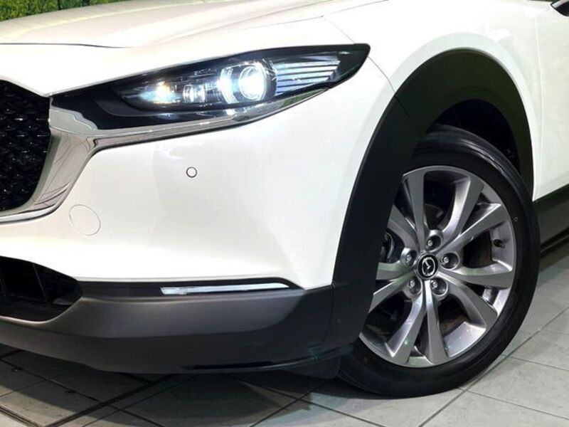 CX-30