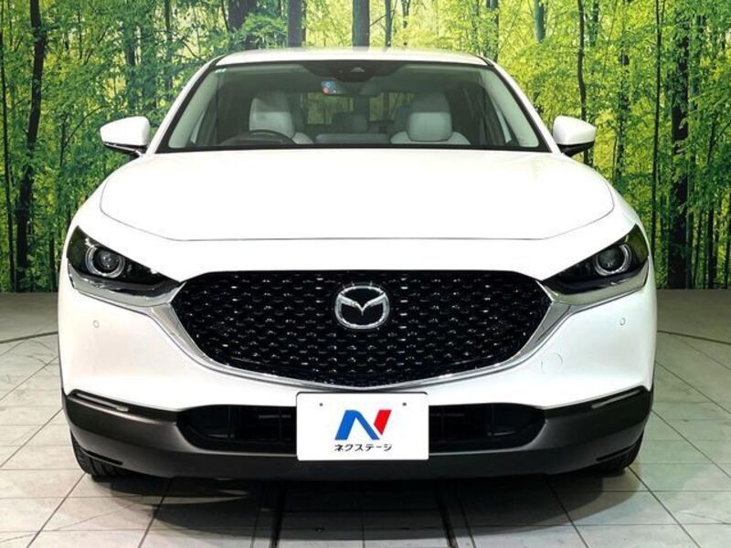 CX-30