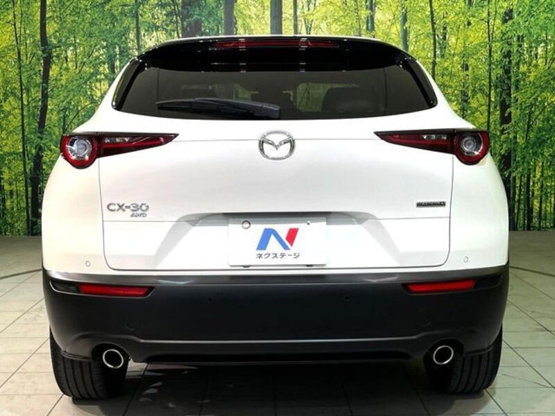 CX-30