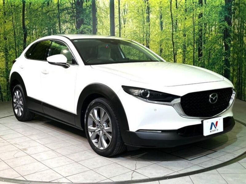 CX-30