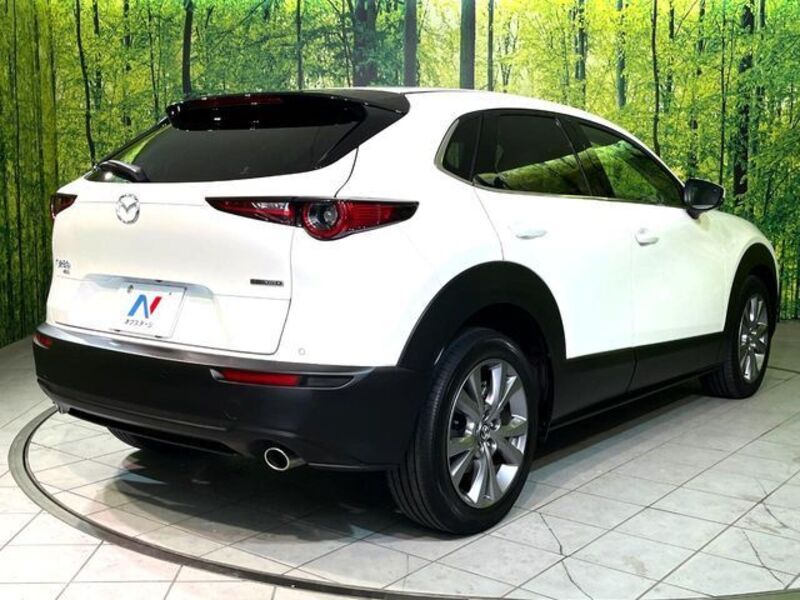 CX-30