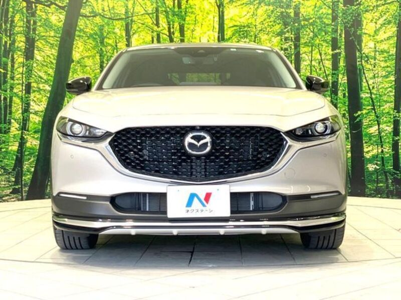 CX-30