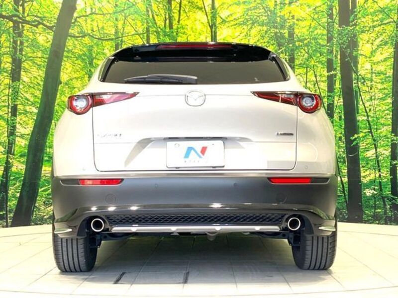 CX-30