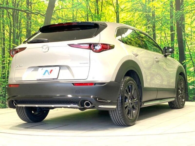 CX-30