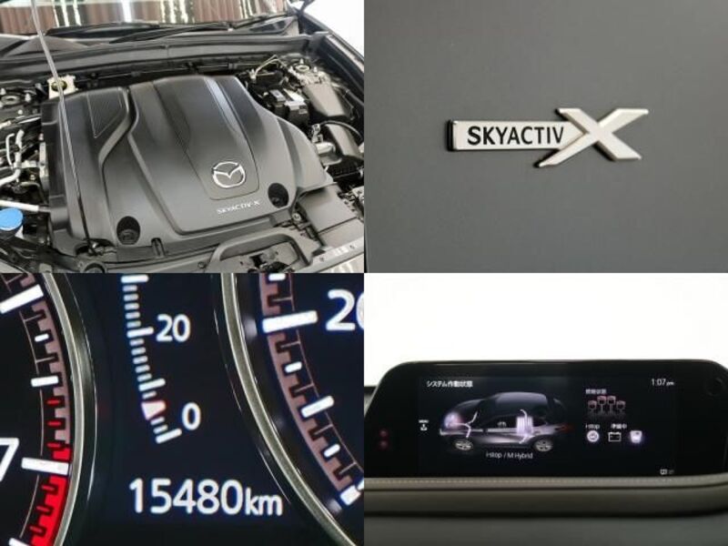CX-30