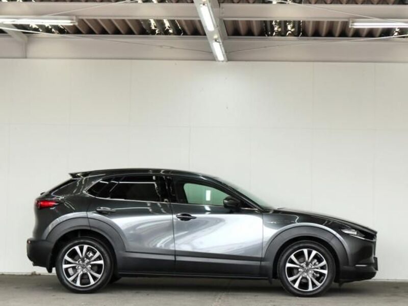 CX-30