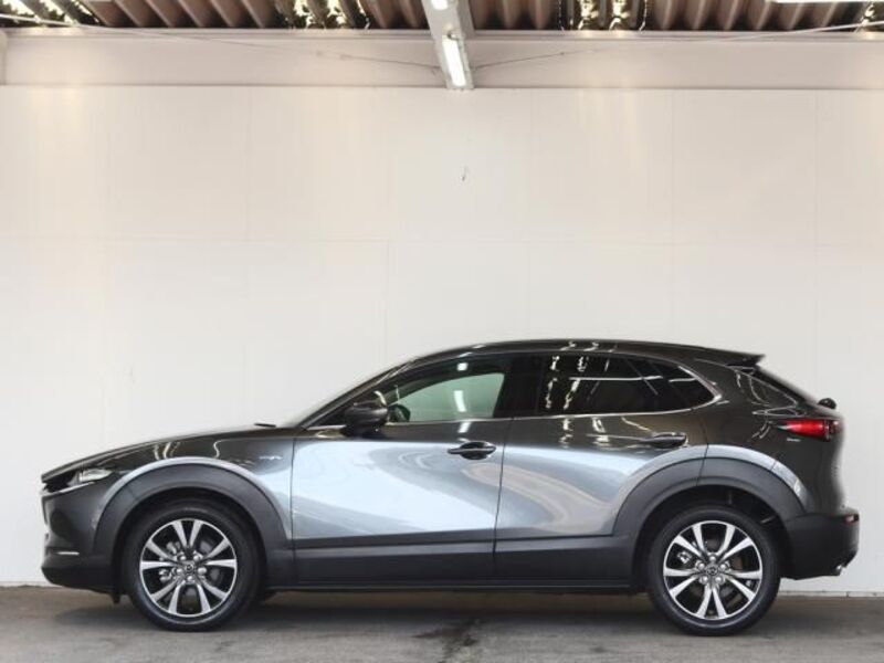 CX-30