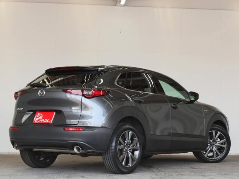 CX-30