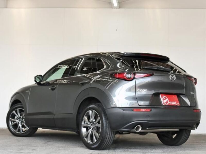 CX-30