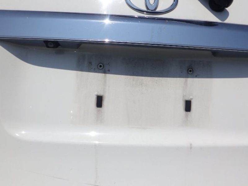 COROLLA RUMION