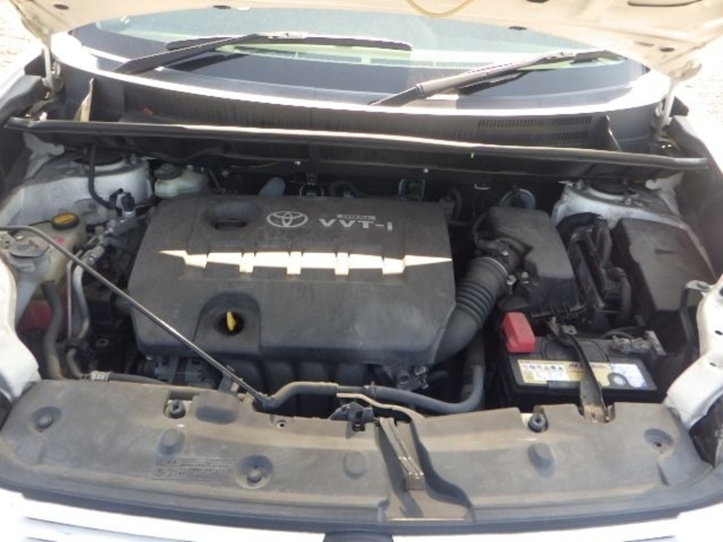 COROLLA RUMION
