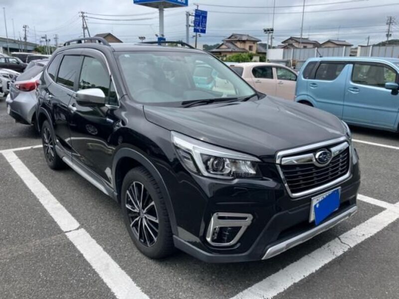 FORESTER