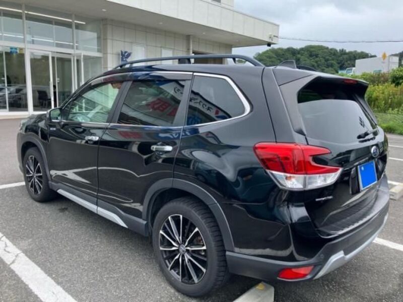 FORESTER