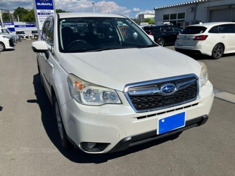FORESTER