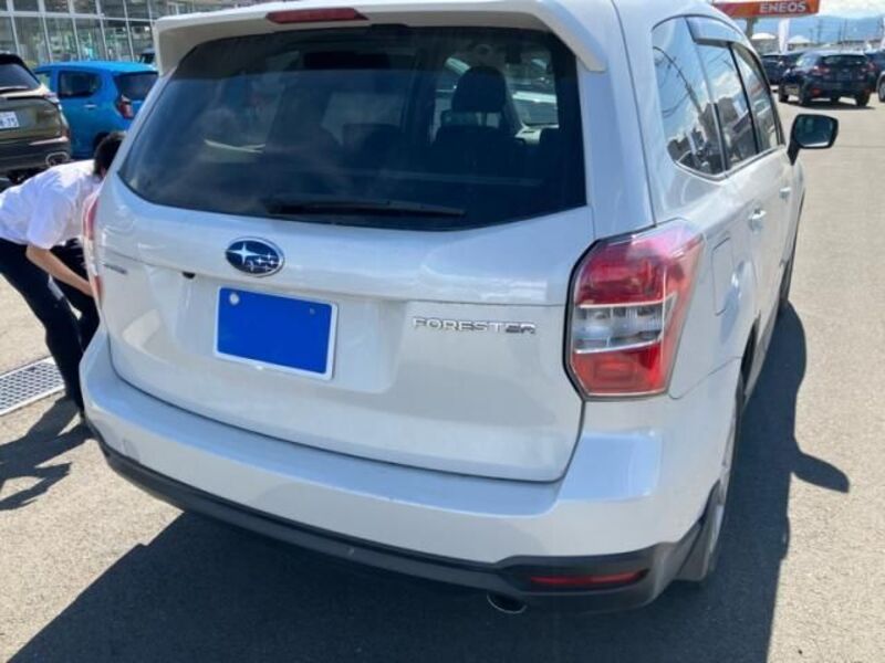 FORESTER