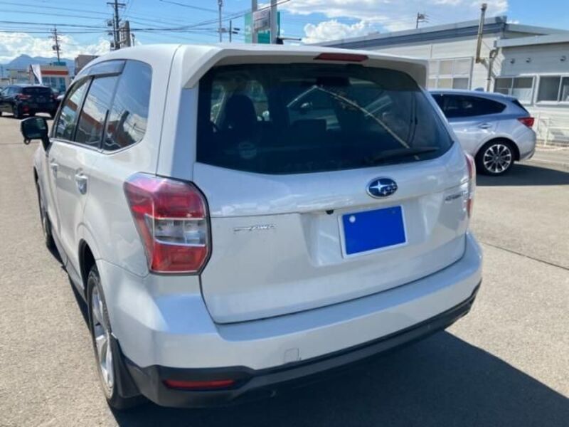 FORESTER