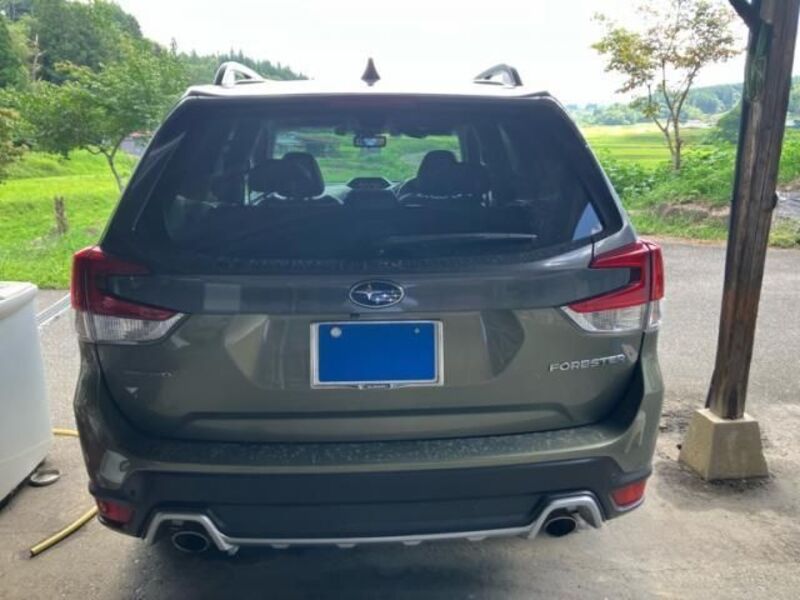 FORESTER
