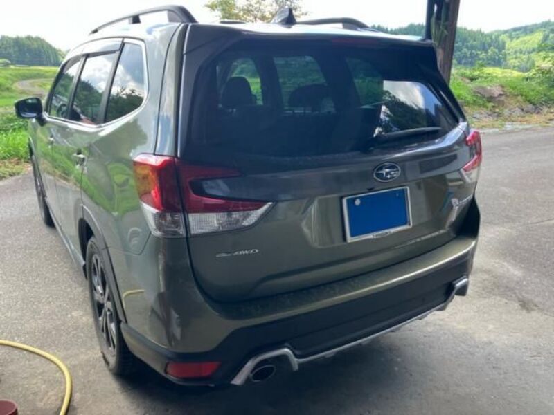 FORESTER