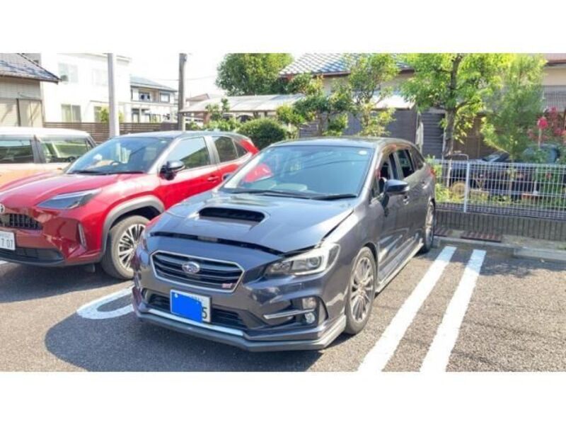LEVORG-0