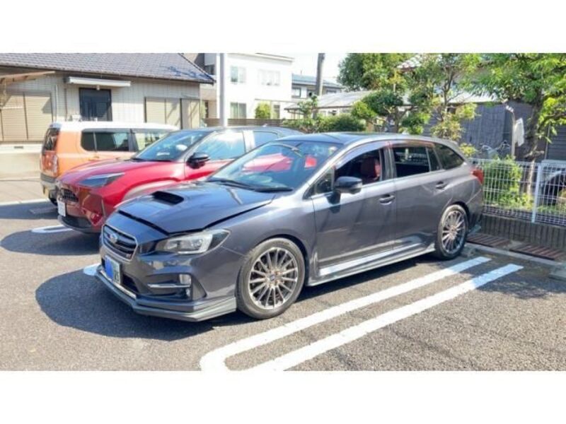 LEVORG